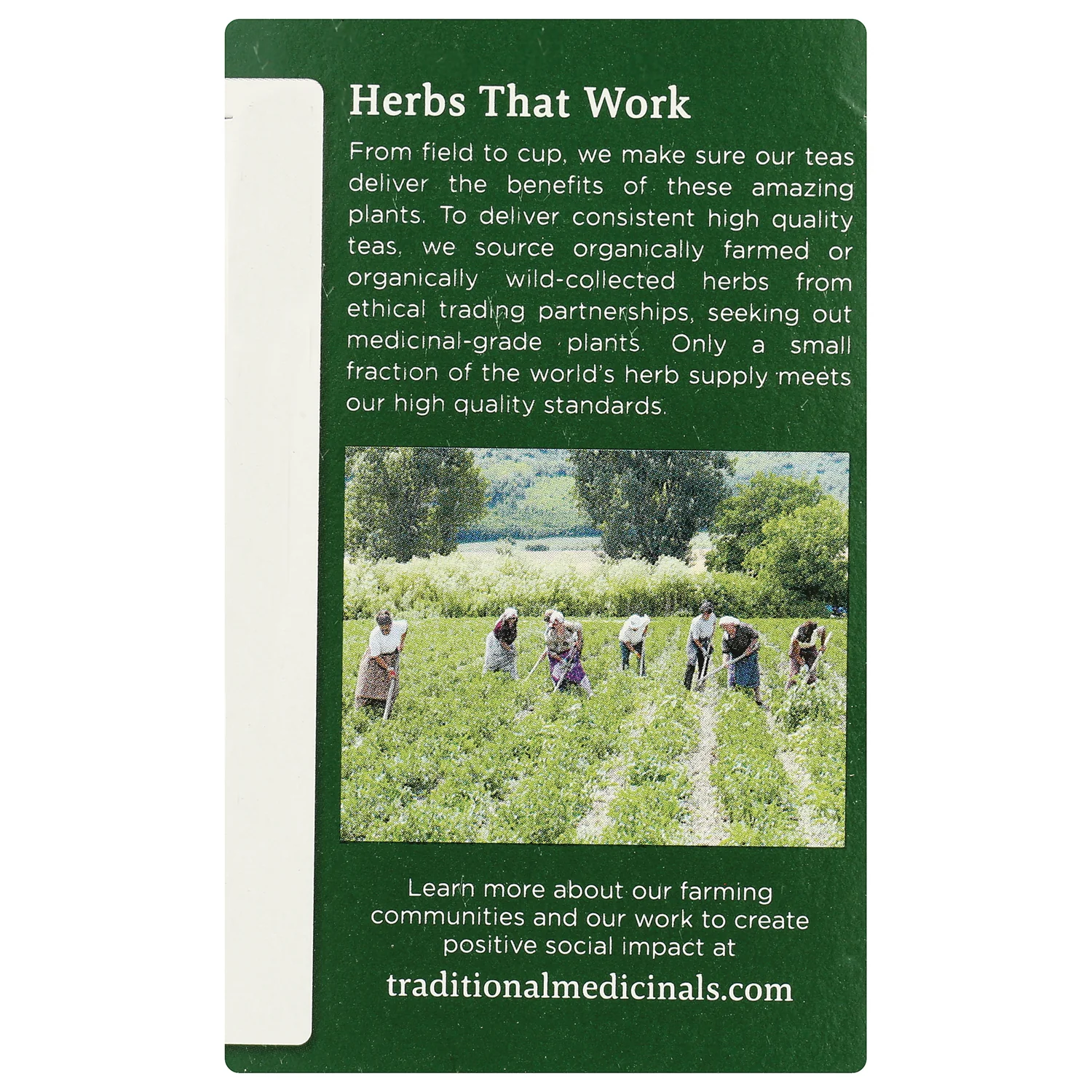 Organic Spearmint Tea - Image 4
